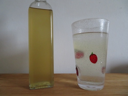 Elderflower Cordial Recipe – A Delicious Drink For The Summer